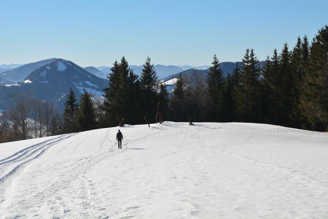 Schneeschuh-Wanderung mit Regionauten: Nun geht's wieder hinab in Richtung Hochschlag. | Foto: Roland Mayr
