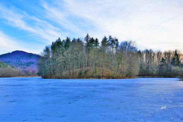 Blick auf die Halbinsel am Thalersee