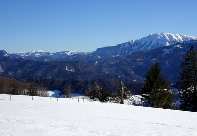 Schneeschuh-Wanderung mit Regionauten: Am Runzelberg wird man diesem herrlichen Blick auf den Ötscher belohnt. | Foto: Franz Sturmlechner