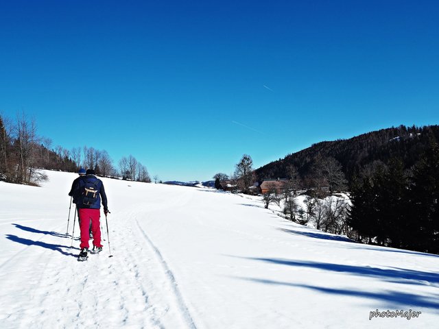 Schneeschuh-Wanderung mit Regionauten: Über den Dienstbergsattel ging's auf den Hochschlag und weiter auf den Gipfel des Runzelbergs. | Foto: Manuela Majer
