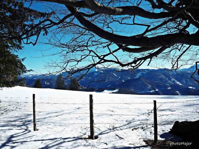 Schneeschuh-Wanderung mit Regionauten: Vom Hochschlag ging's weiter auf den Runzelberg. | Foto: Manuela Majer