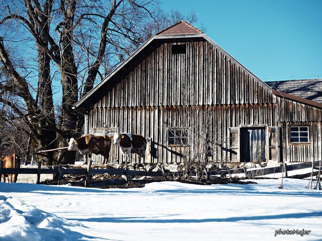 Schneeschuh-Wanderung mit Regionauten: Zum Abschluss wurde bei der Raststation am Hochschlag eine längere Pause eingelegt. | Foto: Manuela Majer