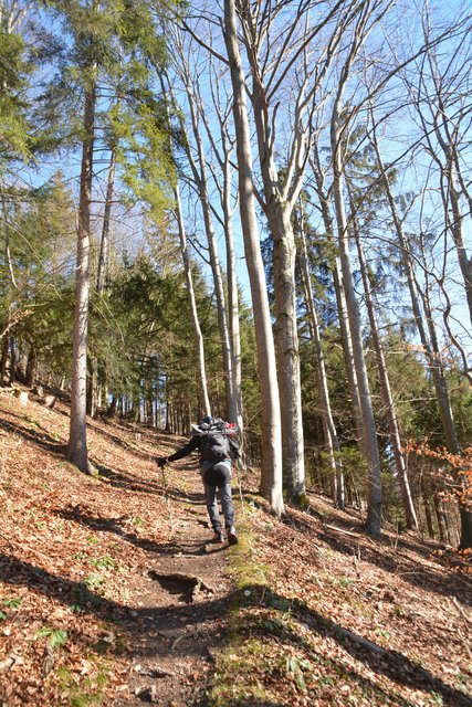Schneeschuh-Wanderung mit Regionauten: Vom Reinsberger Ortszentrum aus ging's zunächst zur Burgruine. | Foto: Roland Mayr