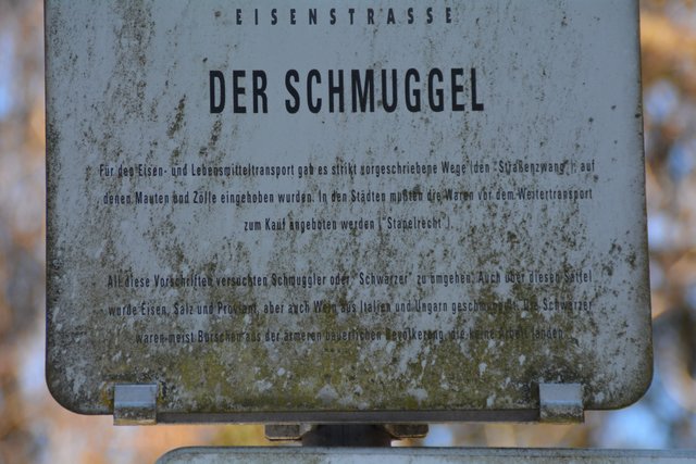 Schneeschuh-Wanderung mit Regionauten: Richtig mystisch wirkt der Wald in Reinsberg. | Foto: Roland Mayr