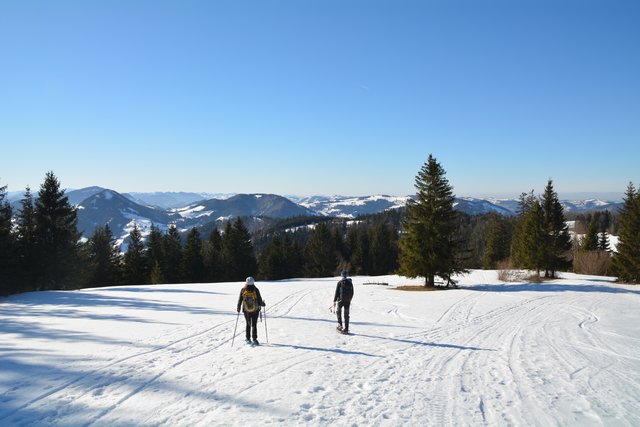 Schneeschuh-Wanderung mit Regionauten: Nun geht's wieder hinab in Richtung Hochschlag. | Foto: Roland Mayr