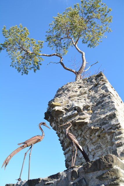 Schneeschuh-Wanderung mit Regionauten: Auf der Burgruine Reinsberg. | Foto: Roland Mayr