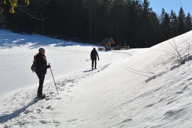 Schön liegt der Mostbrunnen da: Über den Dienstbergsattel ging's auf den Hochschlag und weiter auf den Gipfel des Runzelbergs. | Foto: Roland Mayr