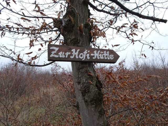 Hier geht es durch den Wald zur Hochfilzerhütte.