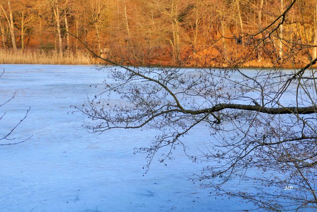 Natur pur, am Thalersee