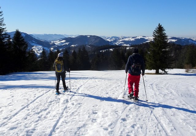 Schneeschuh-Wanderung mit Regionauten: Nun geht's wieder hinab in Richtung Hochschlag. | Foto: Franz Sturmlechner