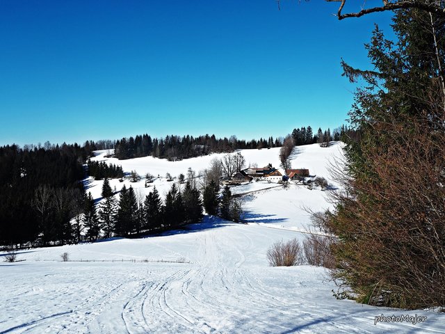 Schneeschuh-Wanderung mit Regionauten: Vom Hochschlag ging's weiter auf den Runzelberg. | Foto: Manuela Majer