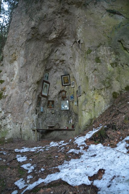 Schneeschuh-Wanderung mit Regionauten: Richtig mystisch wirkt der Wald in Reinsberg. | Foto: Roland Mayr