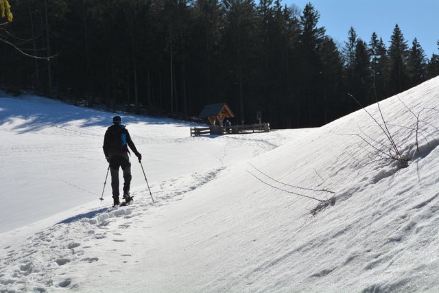 Schön liegt der Mostbrunnen da: Über den Dienstbergsattel ging's auf den Hochschlag und weiter auf den Gipfel des Runzelbergs. | Foto: Roland Mayr