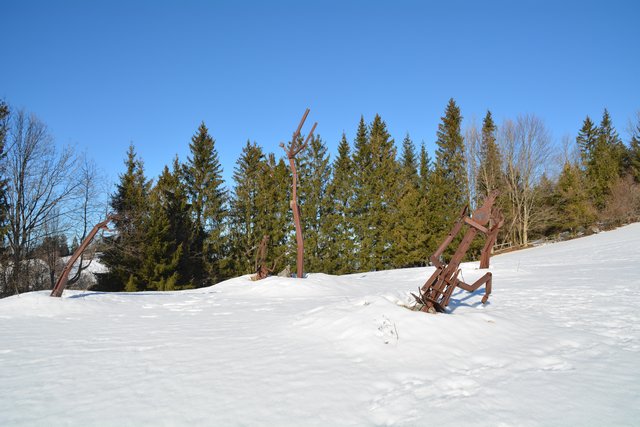 Schneeschuh-Wanderung mit Regionauten: Die Skulptur Sclavinia am Hochschlag. | Foto: Roland Mayr