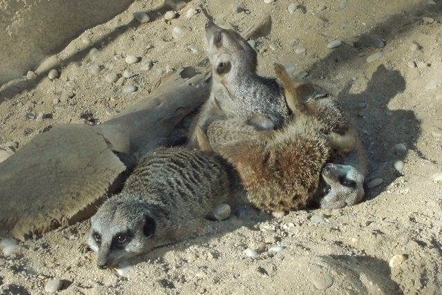 Mami ist immer achtsam