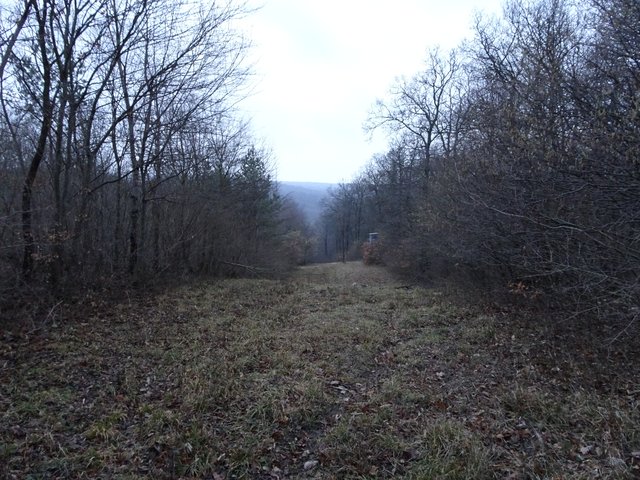 Nach einer kurzen Wegstrecke auf der Forststraße führt ein Abzweiger wieder in den Wald. Auf diesem Waldweg geht es dann zurück in Richtung Kloster St. Anna.
