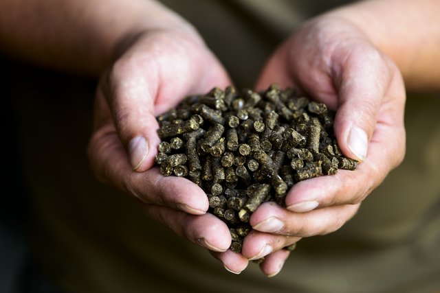 Foto: Fam. Mayr/Brunlitzerhof