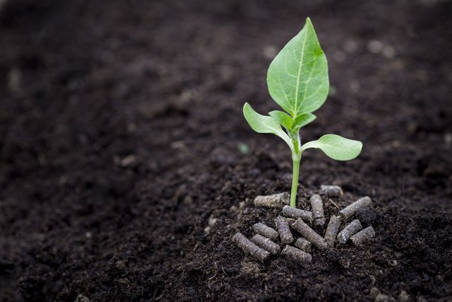 Foto: Fam. Mayr/Brunlitzerhof