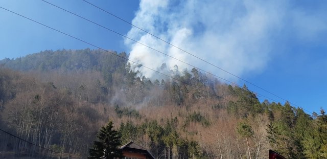 Foto: BFKDO Klagenfurt Land