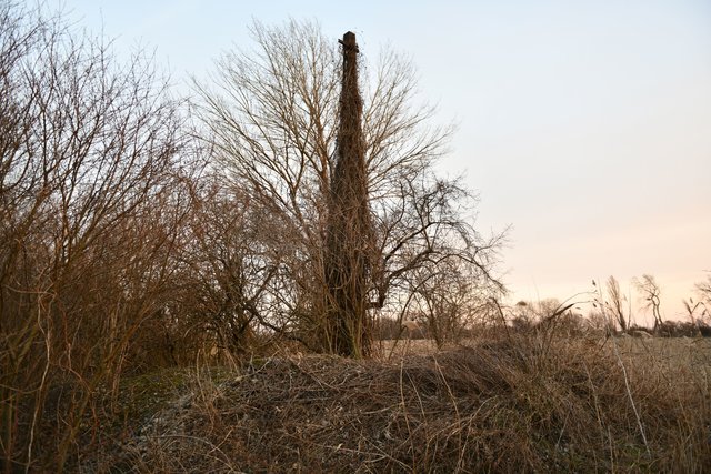 Foto: Foto von Martin Petrik, Nikon D850