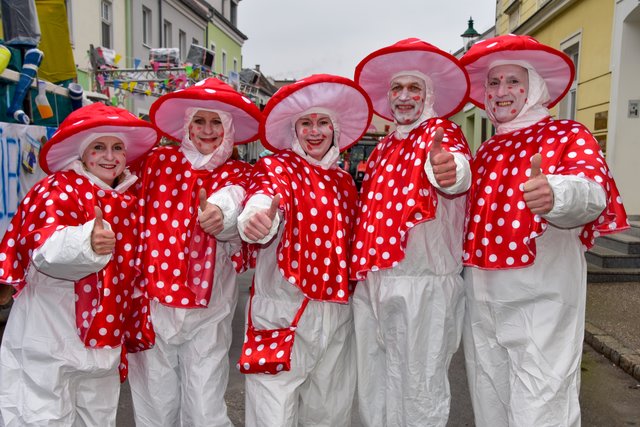 Tulli, Tulli 2019 Die Fotos Tulln