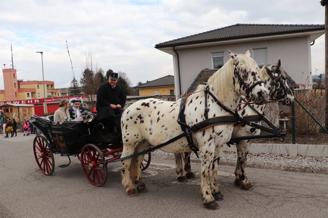 Foto: Edith Ertl