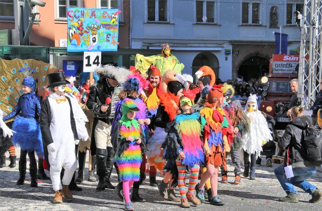 Schräge Vögel, Faschingsumzug Graz