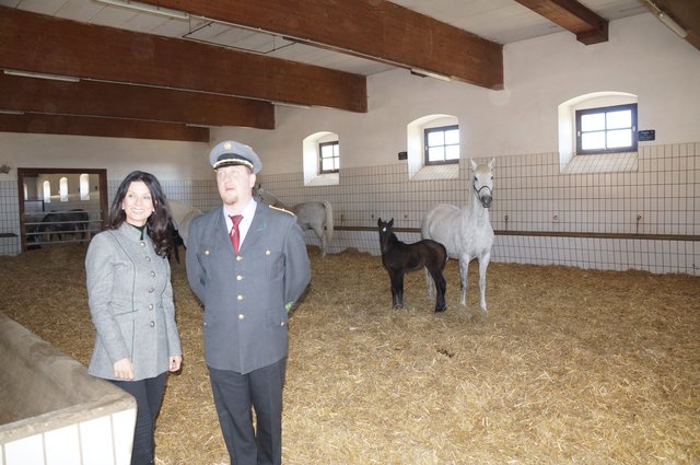 Sonja Klima und Erwin Movia in der Mutterstube | Foto: Almer