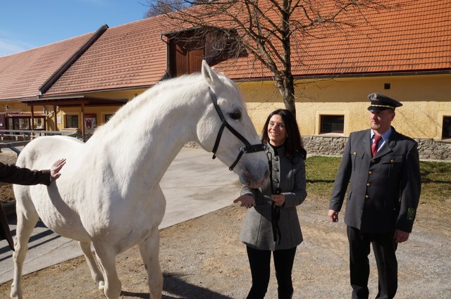 Sonja Klima hat keine Scheu vor großen Pferden. | Foto: Almer