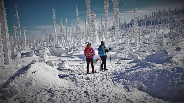 Oberösterreich. Auch im Februar finden unsere Regionauten das perfekte Motiv.  | Foto: Walter Wöss