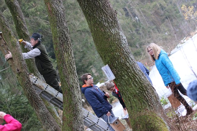 Dann geht es ans Aufhängen. | Foto: Höllbacher