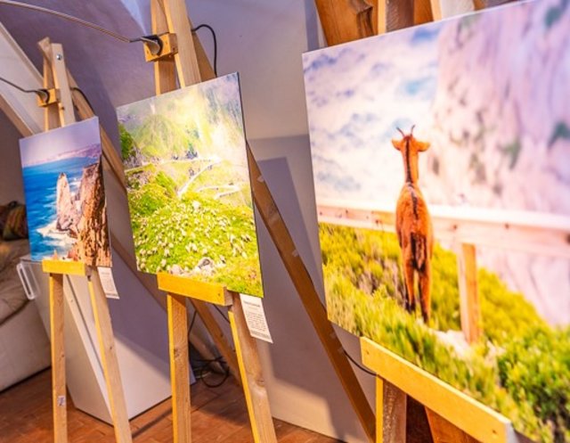 Veranstalter und Gastgeberin des gelungenen Abends war Sabina Saurer Photography &amp; Art. Es war die erste Vernissage mit Marvin Sailer in ihrem Fotostudio am Hauptplatz in Pischelsdorf. | Foto: Sabina Saurer