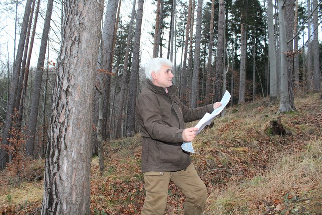 Franz Reiterer aus Micheldorf  ist seit vielen Jahren als selbstständiger Förster tätig und berät Waldbesitzer und Forstbetriebe. Für ihn ist der Wald Teil der Lösung in der Klimakrise. | Foto: Staudinger