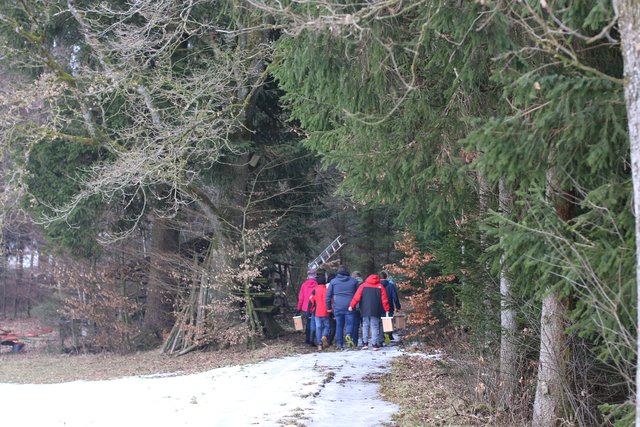 Auch in den Wäldern werden die Brutmöglichkeiten für Vögel immer weniger.  | Foto: Höllbacher
