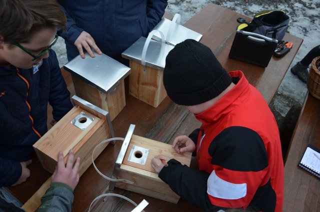 Das Metall am Einflugloch schützt die Vögel vor dem Specht. | Foto: Höllbacher