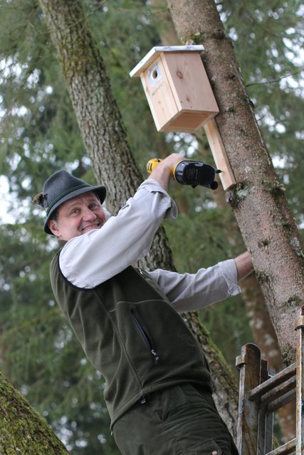 Karl Kücher hilft den Schülern beim Anbringen der Nisthilfen. | Foto: Höllbacher