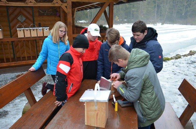 Letzte Arbeiten an den Nistkästen. | Foto: Höllbacher