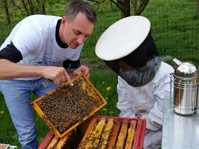 Der BZV Malta versucht, Kindern und Jugendlichen die Biene als wichtiges Nutztier näher zu bringen. Dazu wird auch ein Lehrbienenstand bei der Fachtagung vorgestellt | Foto: BZV Malta
