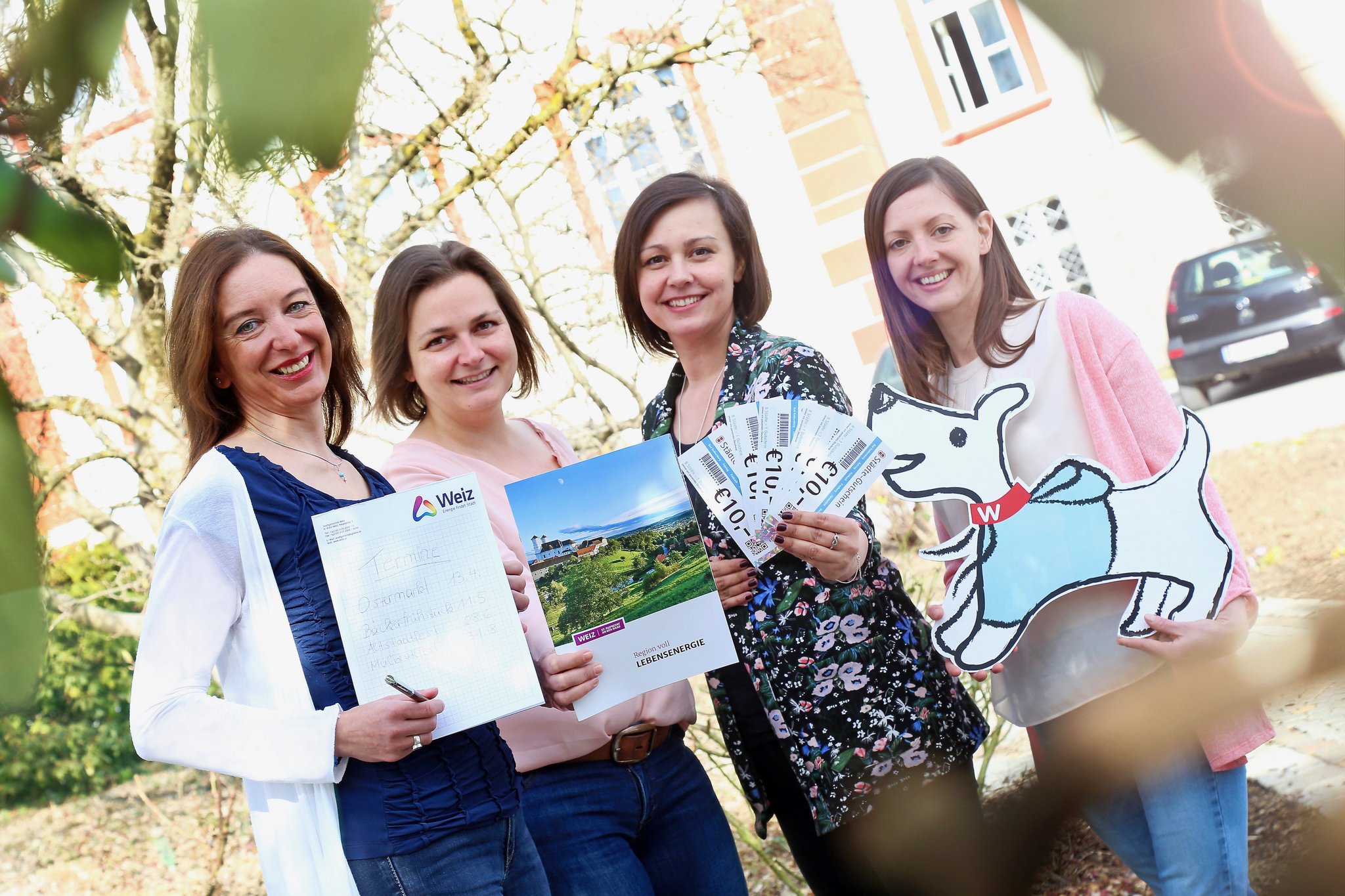 Singles bezirk weiz