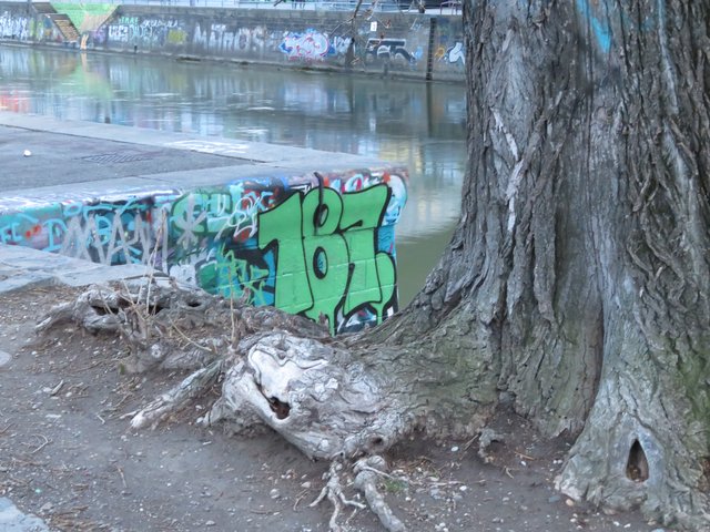 03.03.2019 Das Umfeld am Donaukanal