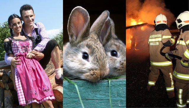 Ob Landjugend, Kleintierzuchtverein oder Feuerwehr – beim "Florian 2019" wird ehrenamtlicher Einsatz vor den Vorhang geholt. | Foto: Tracht (XtravaganT/Fotolia), Kaninchen (panthermedia-net Flewark), FF (FF Hallein)