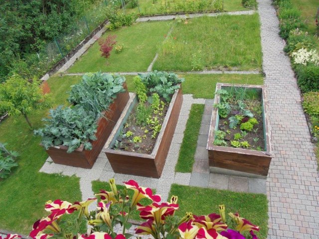 Die Hochbeete in Richard Grubers Garten sind ein wahrer Blickfang, und werden von dem Hobbygärtner jedes Jahr nach Lust und Laune bepflanzt. | Foto: privat