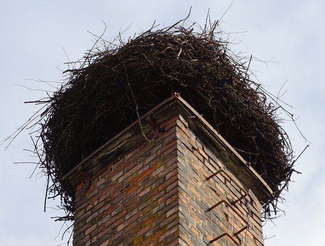 Das Nest muss abgetragen werden, der Kranz des Rauchfangs ist in schlechtem Zustand