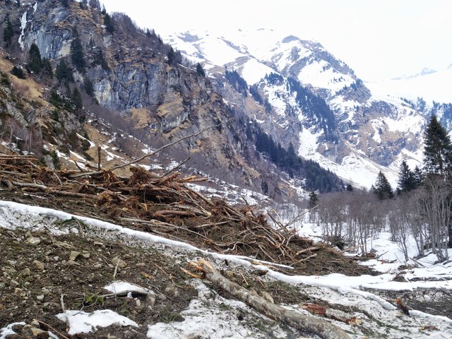Selten waren die Verwüstungen auf der Flittneralm im hinteren Valsertal so groß.