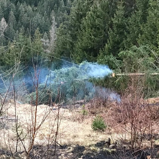 Ein Kurzschluss löste im trockenen Wald einen Brand aus | Foto: Freiwillige Feuerwehr Preitenegg