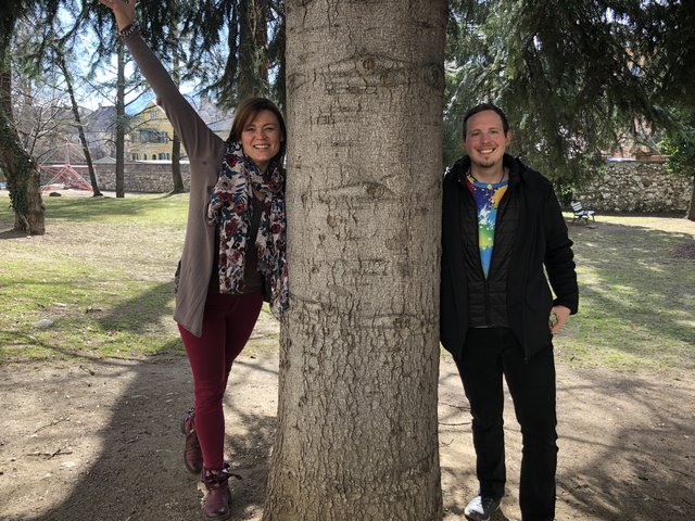 Der Wald, einzigartiger Natur- und Lebensraum