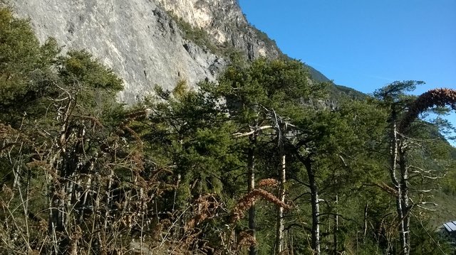 Foto: BFI Landeck