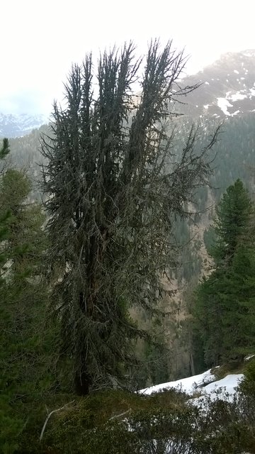 Foto: BFI Landeck