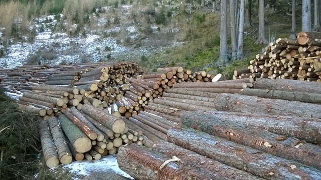Foto: BFI Landeck