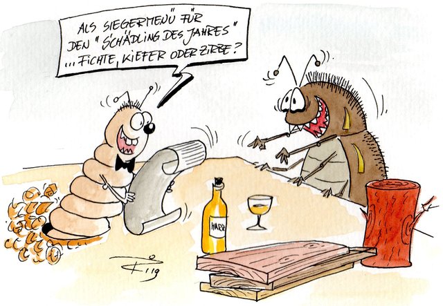 Foto: Cartoon Roman Ritscher